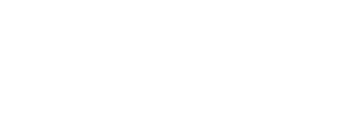Voxalyze